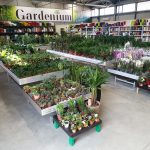 uredjenje dvorista novi sad