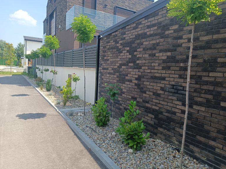 Uređenje dvorišta — projekat Gardenium 38