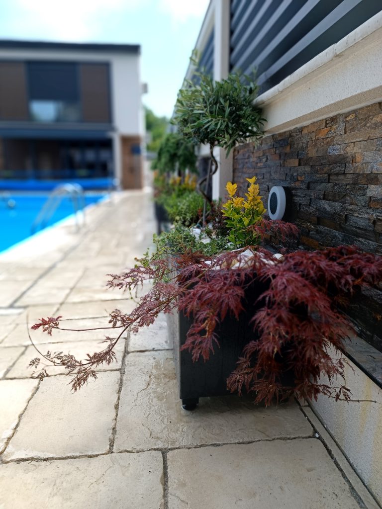 Uređenje dvorišta — projekat Gardenium 32