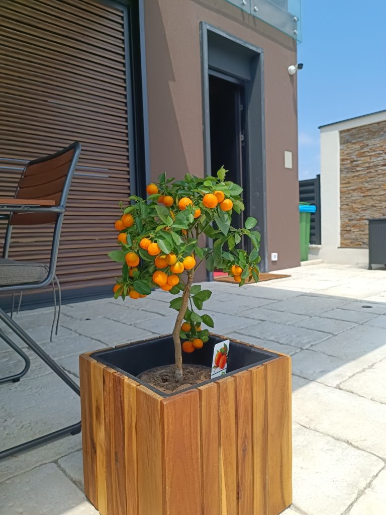 Uređenje dvorišta — projekat Gardenium 28