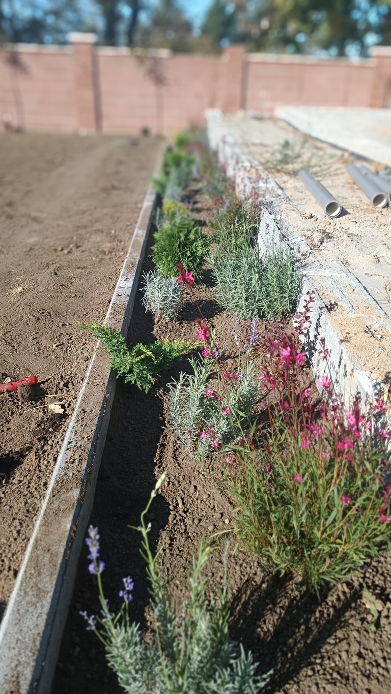 Uređenje dvorišta — projekat Gardenium 13