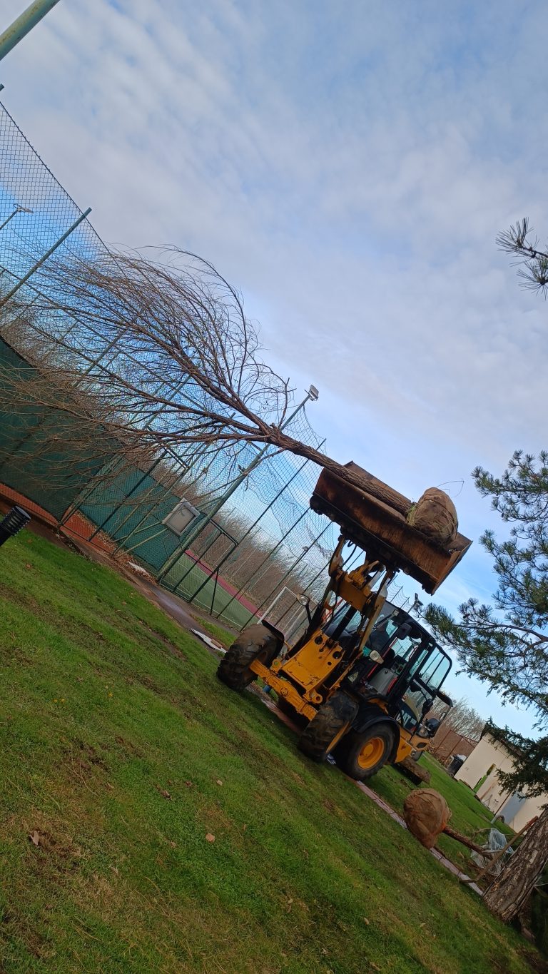 Uređenje dvorišta — projekat Gardenium 10