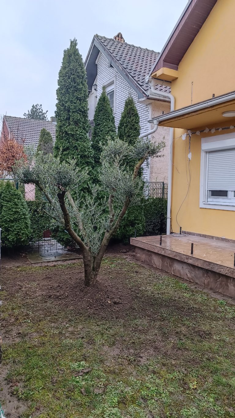 Gardenium vrtni centar Novi Sad – fotografija 36