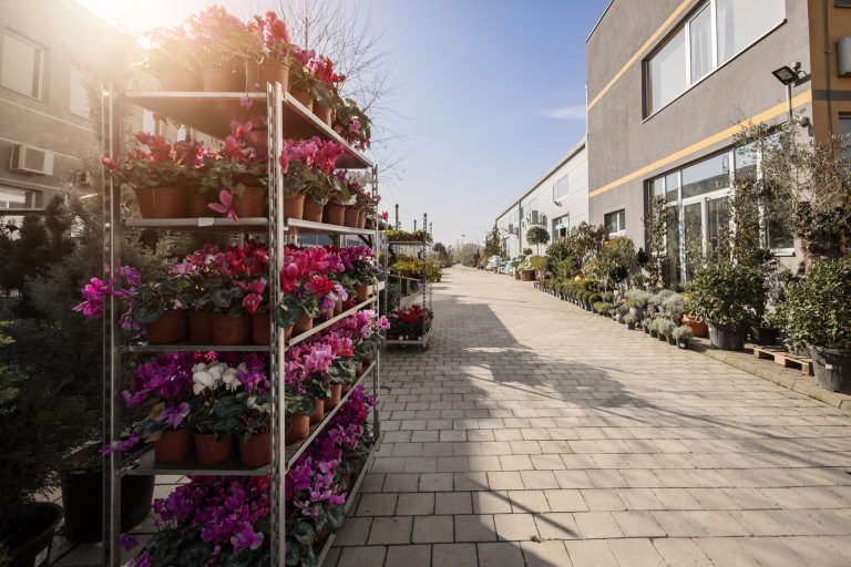 Gardenium vrtni centar Novi Sad – fotografija 31