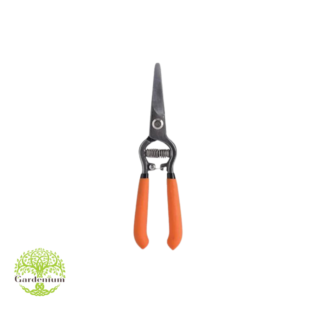 Makaze za lozu 18cm MUTA