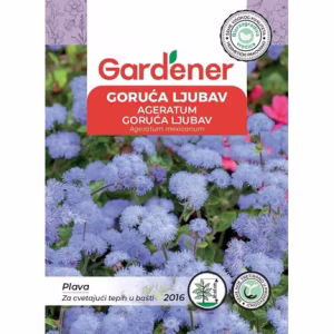 GORUĆA LJUBAV , PLAVA