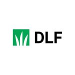 DLF
