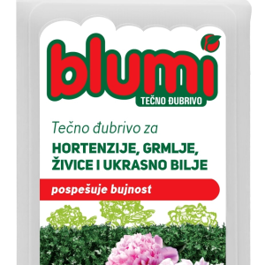 BLUMI HORTENZIJA