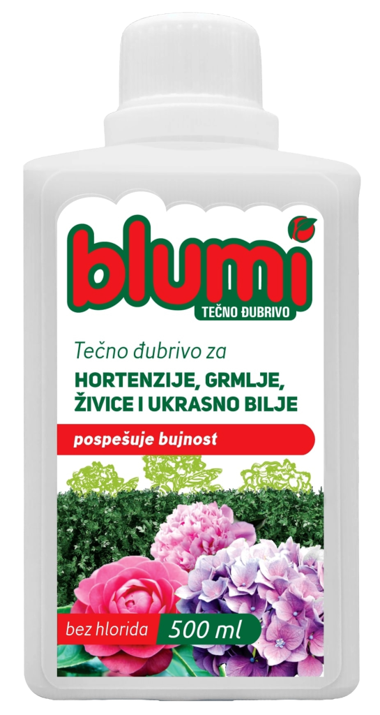 BLUMI HORTENZIJA