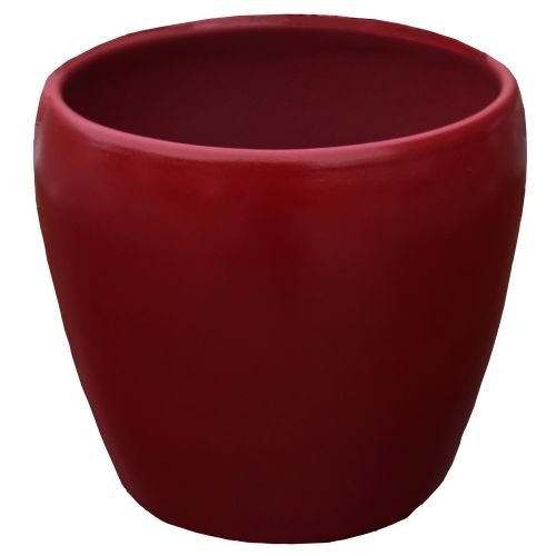 SAKSIJA TARIFA 13.5CM UNI BORDO