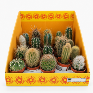 CACTUS MIX 6.5