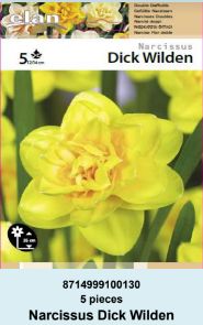 NARCIS DOUBLE DICK WILDEN - 5 lukovica
