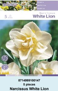 NARCIS DOUBLE WHITE LION - 5 lukovica