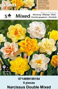 NARCIS DOUBLE MIKS BOJA - 5 lukovica