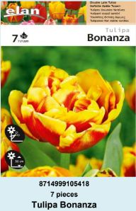 LALA DOUBLE BONANZA - 7 lukovica