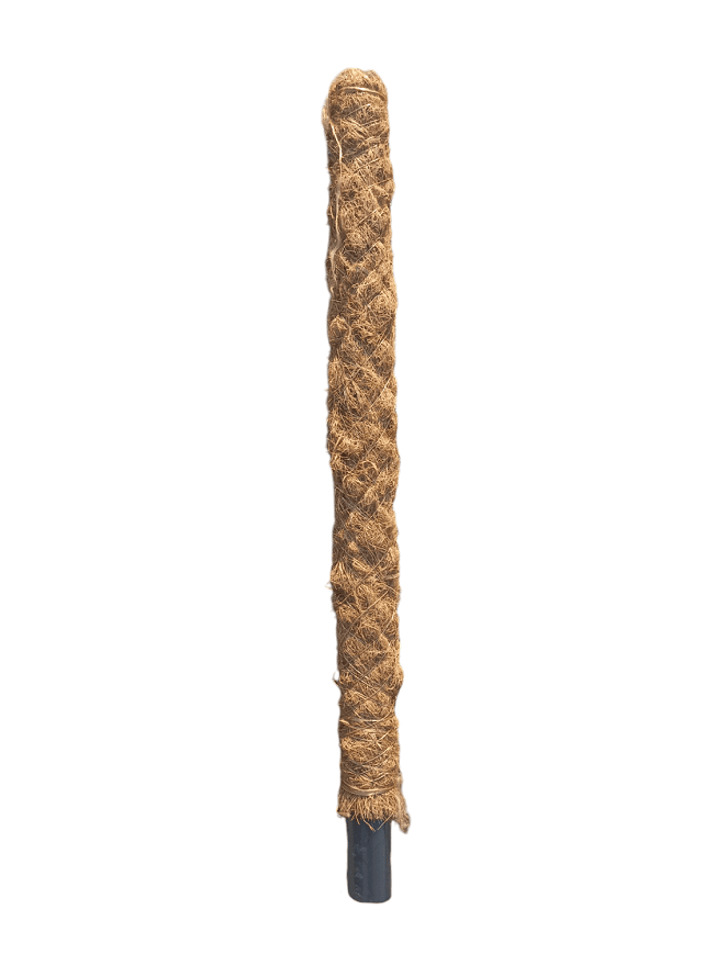 Kokosov štap za penjačice 120 cm