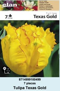 LALA PARROT TEXAS GOLD - 7 lukovica